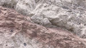 영동읍 설계리 국도 제19호선 도로변