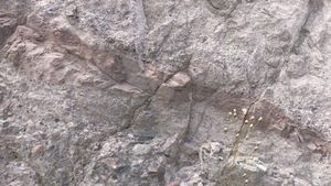 영동읍 설계리 국도 제19호선 도로변