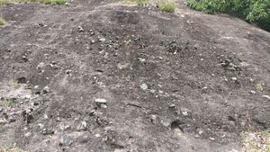 유원대학교 심우관 남동쪽 버스정류장