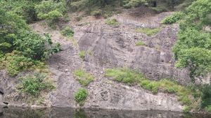 유원대학교 복지관 북동측 연못의 역질사암 노두