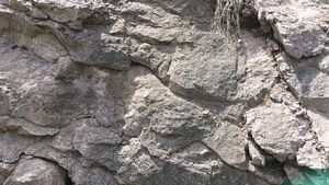 영동읍 설계리 국도 제19호선 도로변