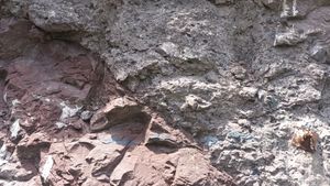 영동읍 설계리 국도 제19호선 도로변