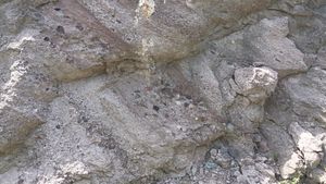 영동읍 설계리 국도 제19호선 도로변