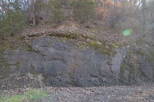 영동군 영동읍 봉현리 심원회포로 도로변의 역암 노두 (영동군 영동읍 심원회포로 153 남동측)