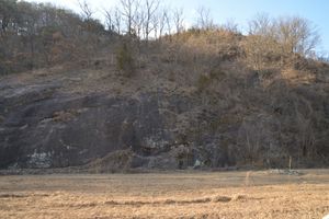 영동군 영동읍 봉현리 심원회포로 도로변