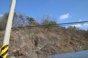 영동군 영동읍 심원리 심원회포로 도로변, 예전2교 북쪽