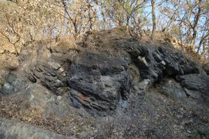 상주시 화동면 어산리 어산로 도로변