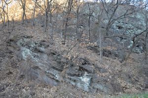 상주시 화동면 어산리 어산로 도로변