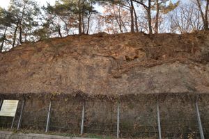 중생대 백악기 영동층군 원촌리층, 영동군 황간면 원촌리 백화산로 도로변