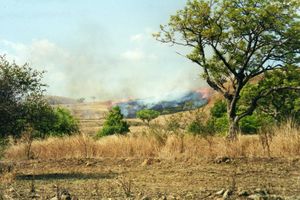 마다가스카르의 화전 농업 모습