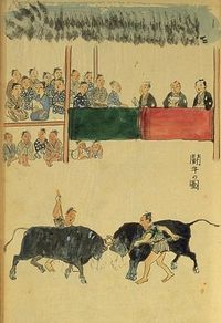 메이지 시대 초기, 도쿠노시마에서의 투우.