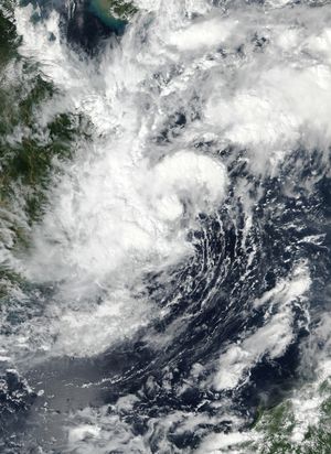 Tropical Depression 26W}}의 위성사진