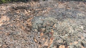 옥천군 군북면 이평리 환산로 도로변 문주리층 노두 1