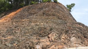 옥천군 군북면 이평리 환산로 도로변 문주리층 노두 3