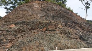 옥천군 군북면 이평리 환산로 도로변 문주리층 노두 4