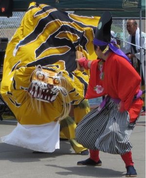 오쓰치 향토 예능제에서 공개된 호랑이춤(2017년 7월)