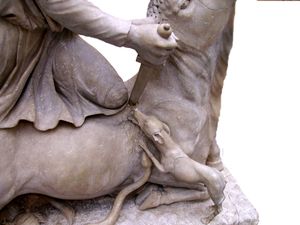 개와 뱀은 수소의 피를 마시려 한다.