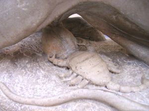 수소의 고환을 공격하는 전갈.