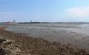 람사르 협약에 등록되어 있는 후지마에 간타