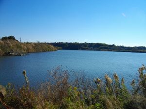 후루토네누마(古利根沼)