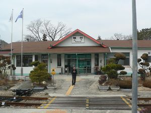 코스모스로 장식하기 전의 역사