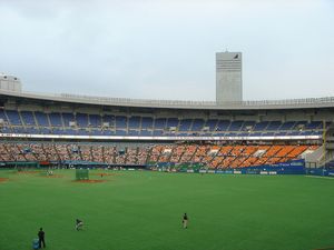 내야 스탠드(오로라 리본 설치 후)