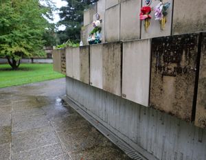 2024년의 골함묘.