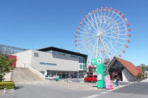 가리야 고속도로 오아시스