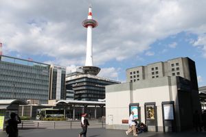 정기 관광 버스 정류장 부근에서