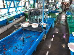 시내의 금붕어 가게