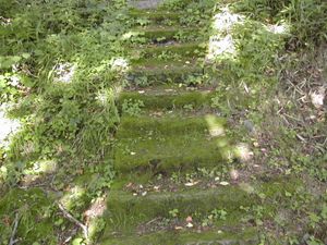 이끼 낀 돌계단(일본)