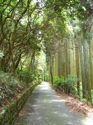 기념비대 동쪽의 오솔길. 별장·산장과 휴양지의 거리
