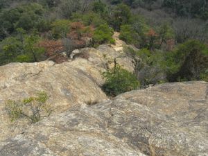 김영록가든(君影ロックガーデン)