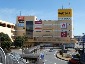 이코아스 센죠다이