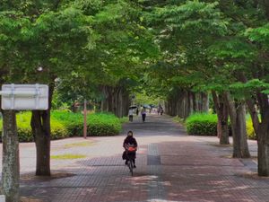 여름의 길(夏の道)(사계의 길)