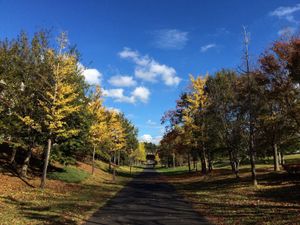 가을의 길(秋の道)(사계의 길)