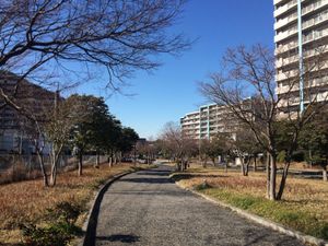 겨울의 길(冬の道)(사계의 길)