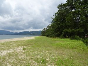 천교립의 모래사장