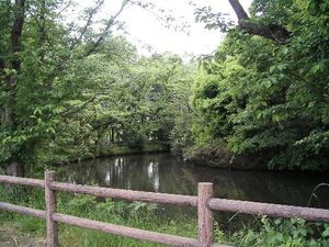 히카와 조타이 신사에 남는 이와후네사이의 제사 유적