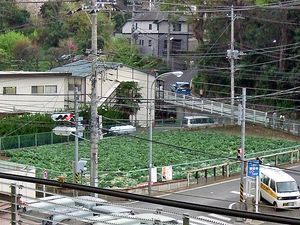 시노하라구치 주변(2007년 4월)