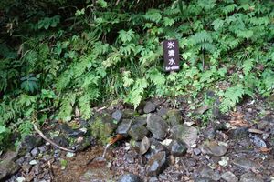 이름 그대로 차가운 빙수