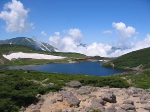 시라우마 오이케