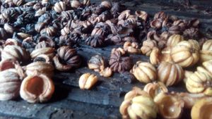 말린 가르시니아 캄보지아