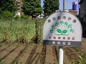 세타가야 구의 생산녹지 (2005년)