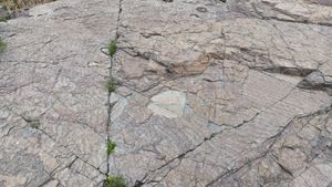 층리면 전반에 걸쳐 연흔이 나타난다.