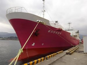 화객선 하이비스커스