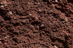 니가타현사도시의 사도 박물관 입구에 전시되어 있는 화산두석. 섬 내에서는 포도석이라고도 불린다.