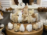 알파카 털로 만든 인형