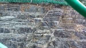 흰색 층리 부분이 연속되지 않고 상당수 끊어진 것으로 보아 단층으로 보인다.대구광역시 수성구 지산동