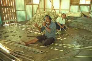 타파 제작 과정에서 이빨을 이용하여 나무껍질을 벗기는 모습